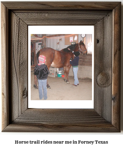 horse trail rides near me in Forney, Texas